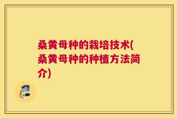 桑黄母种的栽培技术(桑黄母种的种植方法简介) 桑黄母种的栽培技术(桑黄母种的种植方法简介)