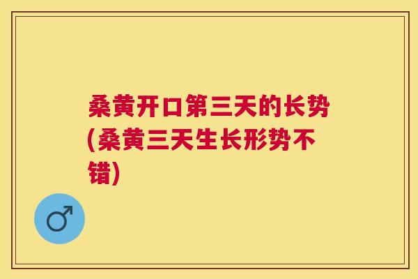 桑黄开口第三天的长势(桑黄三天生长形势不错) 桑黄开口第三天的长势(桑黄三天生长形势不错)