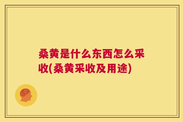 桑黄是什么东西怎么采收(桑黄采收及用途) 桑黄是什么东西怎么采收(桑黄采收及用途)