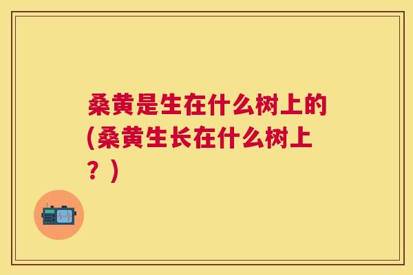 桑黄是生在什么树上的(桑黄生长在什么树上？)