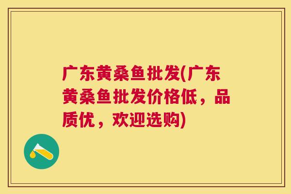广东黄桑鱼批发(广东黄桑鱼批发价格低,品质优,欢迎选购) 广东黄桑鱼批发(广东黄桑鱼批发价格低,品质优,欢迎选购)