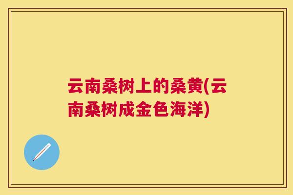 云南桑树上的桑黄(云南桑树成金色海洋) 云南桑树上的桑黄(云南桑树成金色海洋)