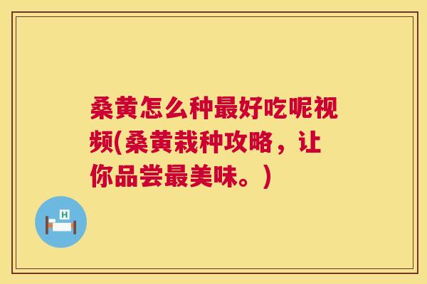 桑黄怎么种好吃呢视频(桑黄栽种攻略,让你品尝美味。) 桑黄怎么种好吃呢视频(桑黄栽种攻略,让你品尝美味。)
