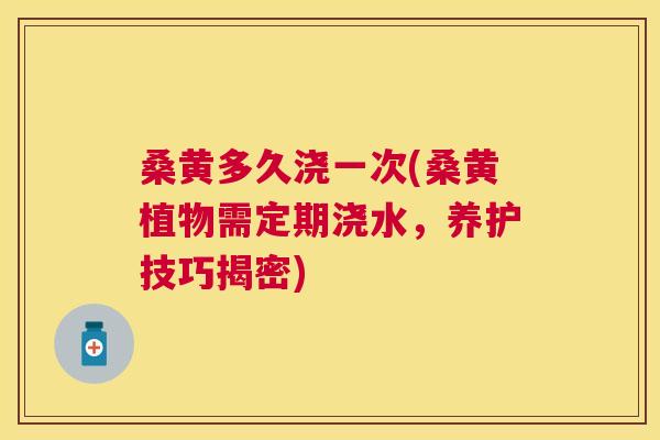 桑黄多久浇一次(桑黄植物需定期浇水,养护技巧揭密) 桑黄多久浇一次(桑黄植物需定期浇水,养护技巧揭密)