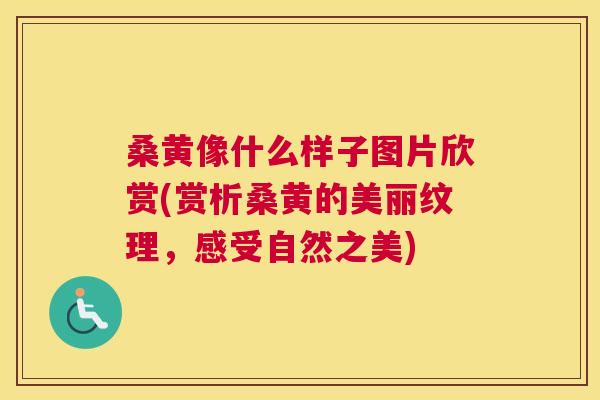 桑黄像什么样子图片欣赏(赏析桑黄的美丽纹理,感受自然之美) 桑黄像什么样子图片欣赏(赏析桑黄的美丽纹理,感受自然之美)