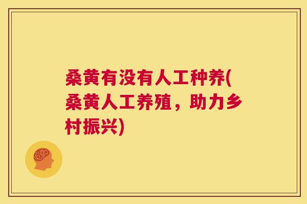 桑黄有没有人工种养(桑黄人工养殖,助力乡村振兴) 桑黄有没有人工种养(桑黄人工养殖,助力乡村振兴)