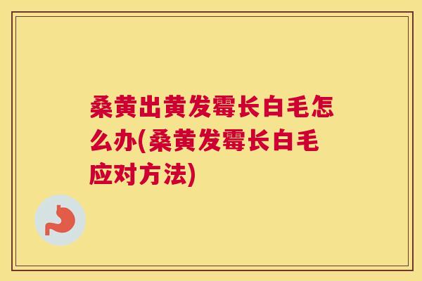 桑黄出黄发霉长白毛怎么办(桑黄发霉长白毛应对方法) 桑黄出黄发霉长白毛怎么办(桑黄发霉长白毛应对方法)