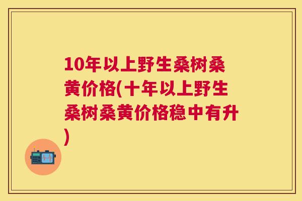 10年以上野生桑树桑黄价格(十年以上野生桑树桑黄价格稳中有升) 10年以上野生桑树桑黄价格(十年以上野生桑树桑黄价格稳中有升)