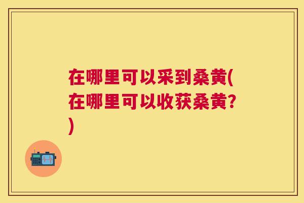 在哪里可以采到桑黄(在哪里可以收获桑黄?) 在哪里可以采到桑黄(在哪里可以收获桑黄?)