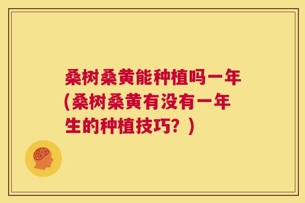 桑树桑黄能种植吗一年(桑树桑黄有没有一年生的种植技巧？)