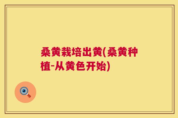 桑黄栽培出黄(桑黄种植-从黄色开始) 桑黄栽培出黄(桑黄种植-从黄色开始)