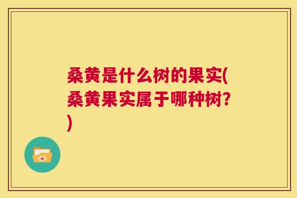 桑黄是什么树的果实(桑黄果实属于哪种树?) 桑黄是什么树的果实(桑黄果实属于哪种树?)