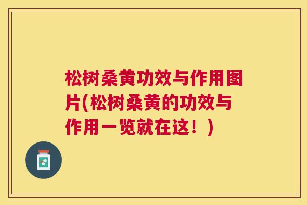松树桑黄功效与作用图片(松树桑黄的功效与作用一览就在这!) 松树桑黄功效与作用图片(松树桑黄的功效与作用一览就在这!)