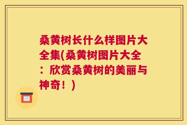 桑黄树长什么样图片大全集(桑黄树图片大全：欣赏桑黄树的美丽与神奇！)