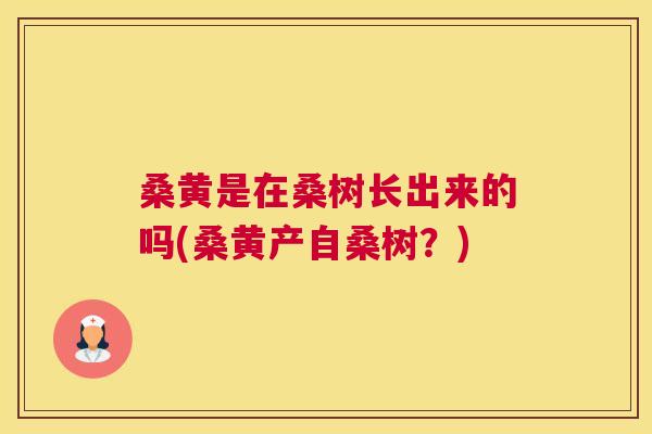 桑黄是在桑树长出来的吗(桑黄产自桑树?) 桑黄是在桑树长出来的吗(桑黄产自桑树?)