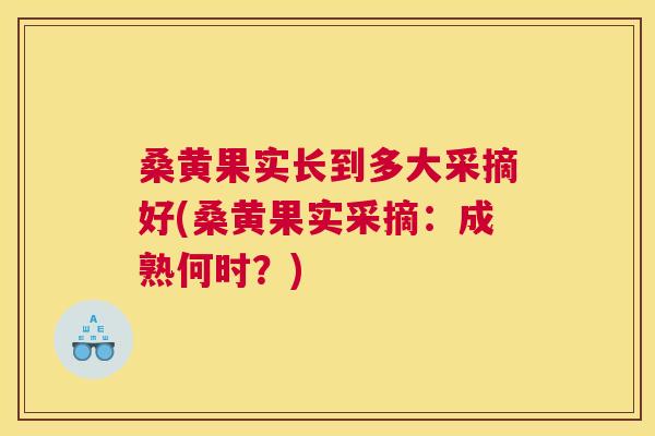 桑黄果实长到多大采摘好(桑黄果实采摘:成熟何时?) 桑黄果实长到多大采摘好(桑黄果实采摘:成熟何时?)