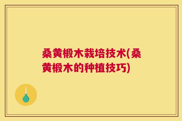 桑黄椴木栽培技术(桑黄椴木的种植技巧) 桑黄椴木栽培技术(桑黄椴木的种植技巧)