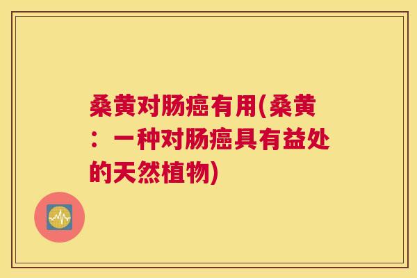 桑黄对肠有用(桑黄:一种对肠具有益处的天然植物) 桑黄对肠有用(桑黄:一种对肠具有益处的天然植物)