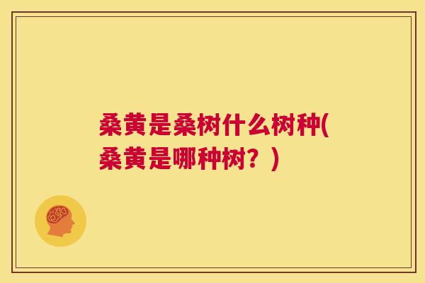 桑黄是桑树什么树种(桑黄是哪种树?) 桑黄是桑树什么树种(桑黄是哪种树?)
