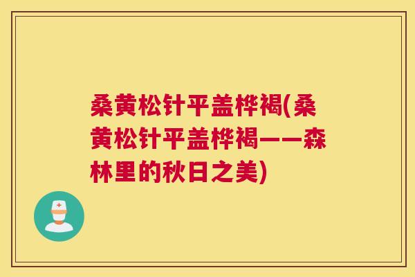 桑黄松针平盖桦褐(桑黄松针平盖桦褐——森林里的秋日之美) 桑黄松针平盖桦褐(桑黄松针平盖桦褐——森林里的秋日之美)
