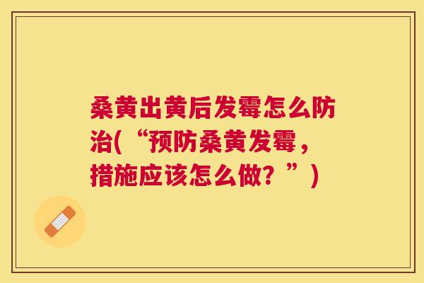 桑黄出黄后发霉怎么防(“桑黄发霉,措施应该怎么做?”) 桑黄出黄后发霉怎么防(“桑黄发霉,措施应该怎么做?”)