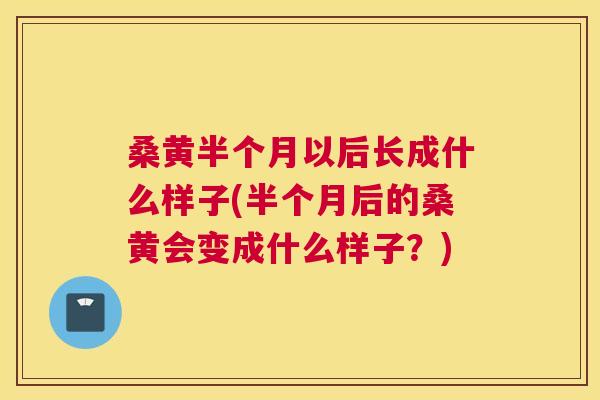 桑黄半个月以后长成什么样子(半个月后的桑黄会变成什么样子?) 桑黄半个月以后长成什么样子(半个月后的桑黄会变成什么样子?)