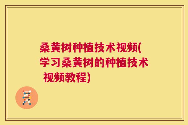 桑黄树种植技术视频(学习桑黄树的种植技术 视频教程)