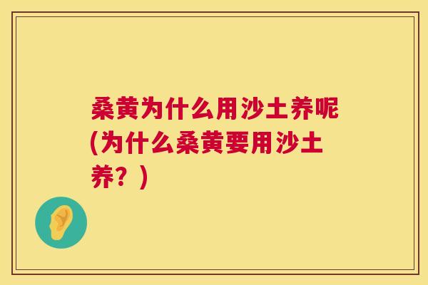 桑黄为什么用沙土养呢(为什么桑黄要用沙土养?) 桑黄为什么用沙土养呢(为什么桑黄要用沙土养?)