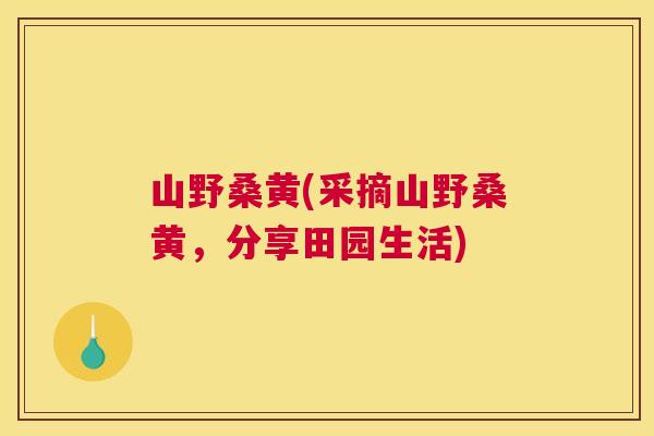 山野桑黄(采摘山野桑黄,分享田园生活) 山野桑黄(采摘山野桑黄,分享田园生活)