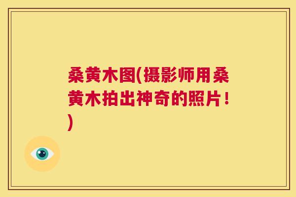 桑黄木图(摄影师用桑黄木拍出神奇的照片!) 桑黄木图(摄影师用桑黄木拍出神奇的照片!)