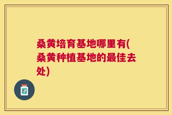 桑黄培育基地哪里有(桑黄种植基地的佳去处) 桑黄培育基地哪里有(桑黄种植基地的佳去处)