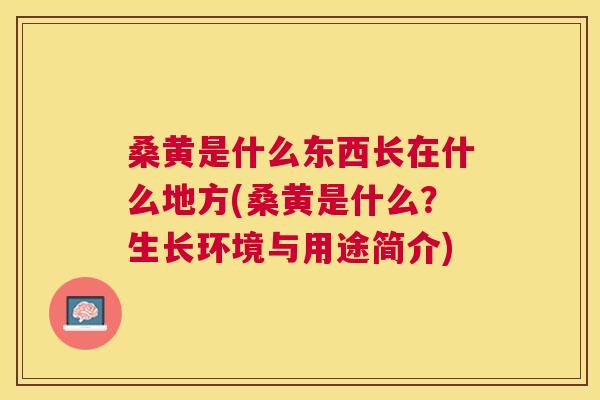 桑黄是什么东西长在什么地方(桑黄是什么?生长环境与用途简介) 桑黄是什么东西长在什么地方(桑黄是什么?生长环境与用途简介)