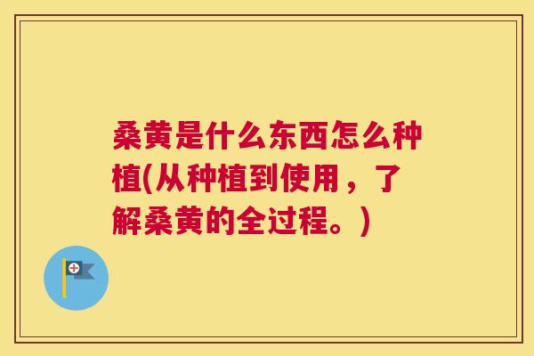 桑黄是什么东西怎么种植(从种植到使用,了解桑黄的全过程。) 桑黄是什么东西怎么种植(从种植到使用,了解桑黄的全过程。)