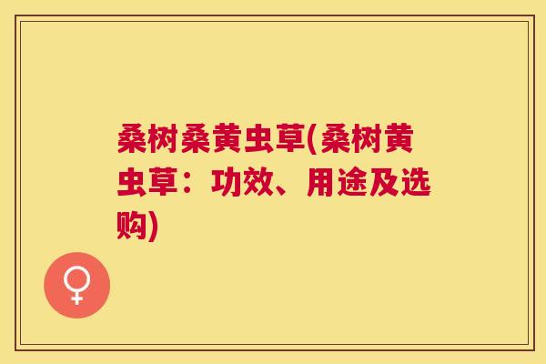 桑树桑黄虫草(桑树黄虫草:功效、用途及选购) 桑树桑黄虫草(桑树黄虫草:功效、用途及选购)