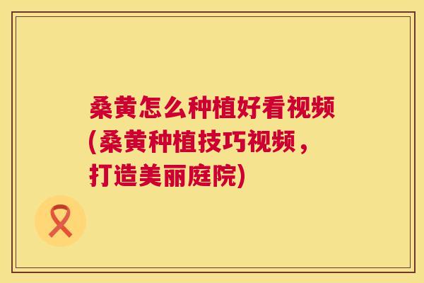 桑黄怎么种植好看视频(桑黄种植技巧视频,打造美丽庭院) 桑黄怎么种植好看视频(桑黄种植技巧视频,打造美丽庭院)