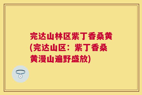 完达山林区紫丁香桑黄(完达山区：紫丁香桑黄漫山遍野盛放)