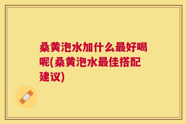 桑黄泡水加什么好喝呢(桑黄泡水佳搭配建议) 桑黄泡水加什么好喝呢(桑黄泡水佳搭配建议)