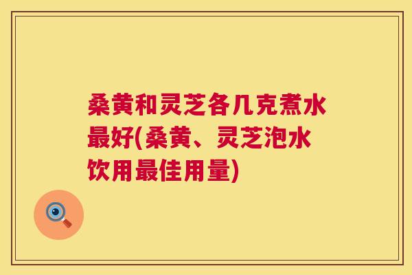 桑黄和灵芝各几克煮水好(桑黄、灵芝泡水饮用佳用量) 桑黄和灵芝各几克煮水好(桑黄、灵芝泡水饮用佳用量)