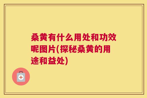 桑黄有什么用处和功效呢图片(探秘桑黄的用途和益处) 桑黄有什么用处和功效呢图片(探秘桑黄的用途和益处)