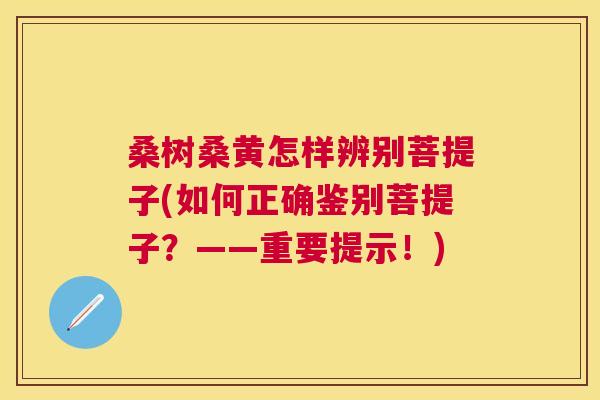 桑树桑黄怎样辨别菩提子(如何正确鉴别菩提子?——重要提示!) 桑树桑黄怎样辨别菩提子(如何正确鉴别菩提子?——重要提示!)
