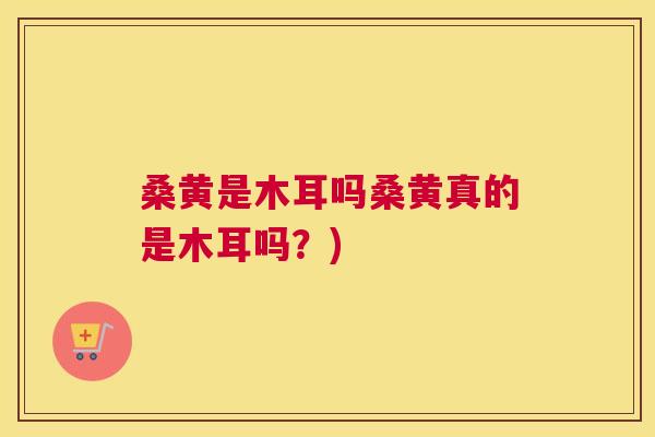 桑黄是木耳吗桑黄真的是木耳吗?) 桑黄是木耳吗桑黄真的是木耳吗?)