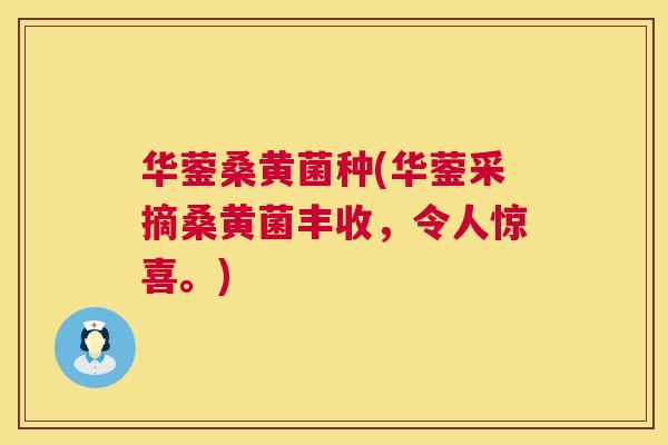 华蓥桑黄菌种(华蓥采摘桑黄菌丰收,令人惊喜。) 华蓥桑黄菌种(华蓥采摘桑黄菌丰收,令人惊喜。)