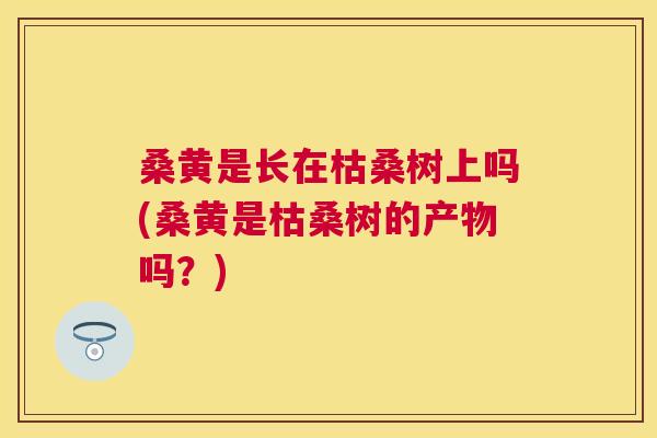 桑黄是长在枯桑树上吗(桑黄是枯桑树的产物吗?) 桑黄是长在枯桑树上吗(桑黄是枯桑树的产物吗?)