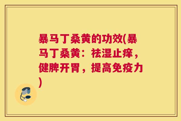 暴马丁桑黄的功效(暴马丁桑黄:祛湿止痒,健脾开胃,提高力) 暴马丁桑黄的功效(暴马丁桑黄:祛湿止痒,健脾开胃,提高力)