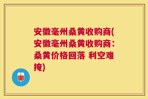 安徽毫州桑黄收购商(安徽毫州桑黄收购商:桑黄价格回落 利空难掩) 安徽毫州桑黄收购商(安徽毫州桑黄收购商:桑黄价格回落 利空难掩)