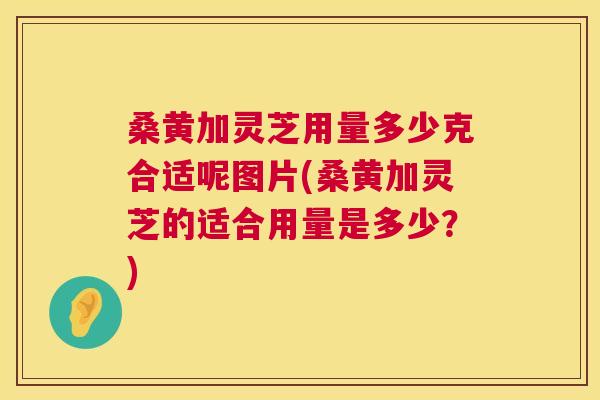 桑黄加灵芝用量多少克合适呢图片(桑黄加灵芝的适合用量是多少?) 桑黄加灵芝用量多少克合适呢图片(桑黄加灵芝的适合用量是多少?)