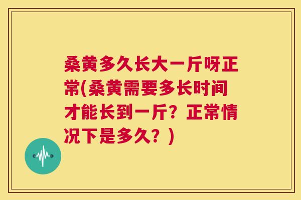 桑黄多久长大一斤呀正常(桑黄需要多长时间才能长到一斤?正常情况下是多久?) 桑黄多久长大一斤呀正常(桑黄需要多长时间才能长到一斤?正常情况下是多久?)