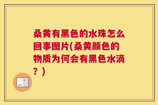 桑黄有黑色的水珠怎么回事图片(桑黄颜色的物质为何会有黑色水滴?) 桑黄有黑色的水珠怎么回事图片(桑黄颜色的物质为何会有黑色水滴?)
