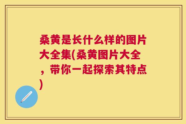 桑黄是长什么样的图片大全集(桑黄图片大全,带你一起探索其特点) 桑黄是长什么样的图片大全集(桑黄图片大全,带你一起探索其特点)