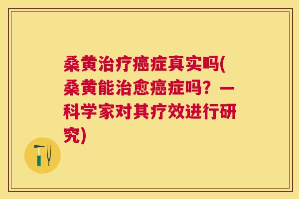 桑黄症真实吗(桑黄能愈症吗?—科学家对其疗效进行研究) 桑黄症真实吗(桑黄能愈症吗?—科学家对其疗效进行研究)